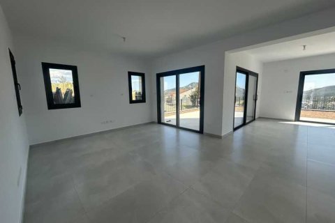 4 chambres House à Akrounta, Cyprus No. 101935 3