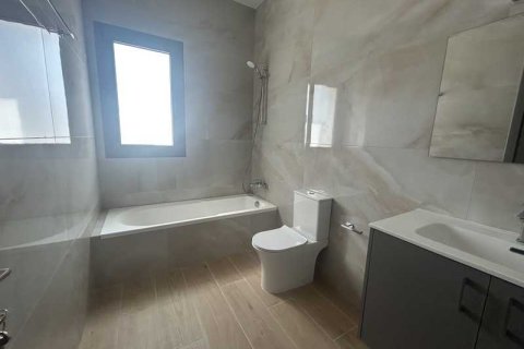 4 chambres House à Akrounta, Cyprus No. 101935 14