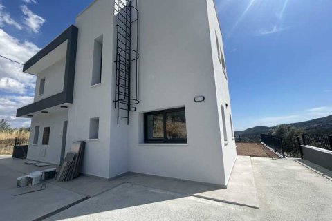 4 chambres House à Akrounta, Cyprus No. 101935 1