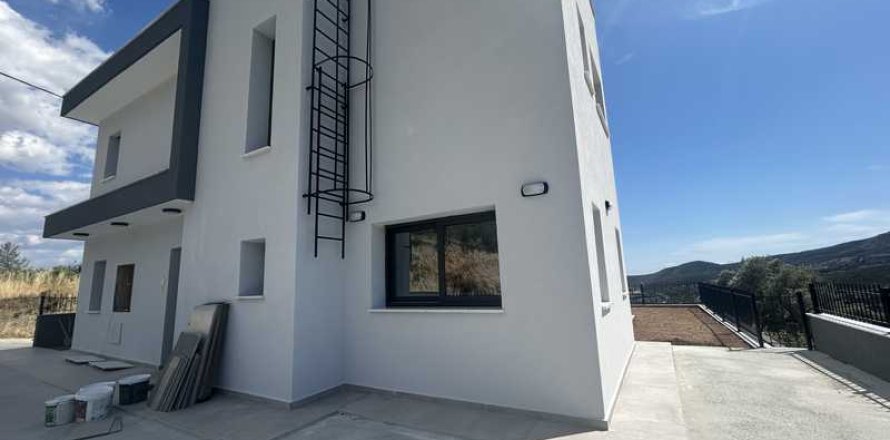 4 chambres House à Akrounta, Cyprus No. 101935