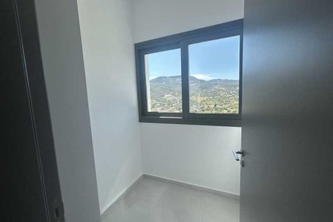 4 chambres House à Akrounta, Cyprus No. 101935 15