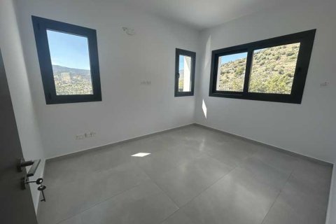 4 chambres House à Akrounta, Cyprus No. 101935 11