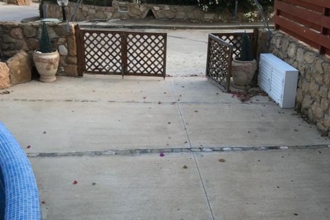 3 bedrooms House in Chloraka, Cyprus No. 37121 13