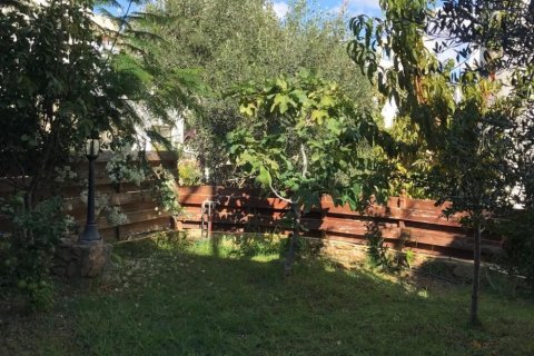 3 bedrooms House in Chloraka, Cyprus No. 37121 5