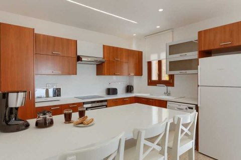 4 bedrooms House in Paphos, Cyprus No. 29569 10