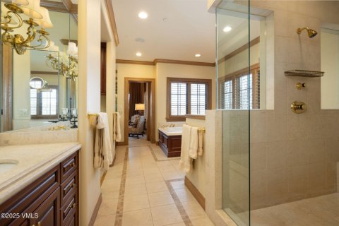 4 bedrooms House in Edwards, USA No. 104542 13