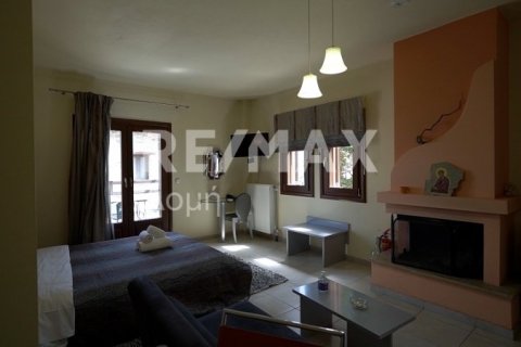 13 bedrooms Hotel in Magnesia, Greece No. 28007 21