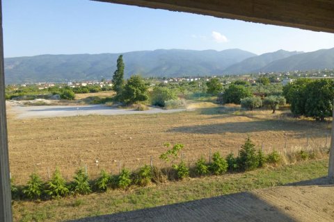 450m² House in Pieria, Greece No. 60246 5