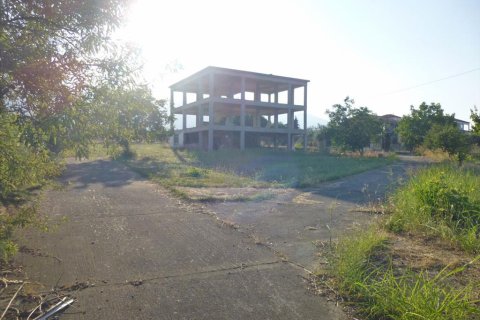 450m² House in Pieria, Greece No. 60246 8