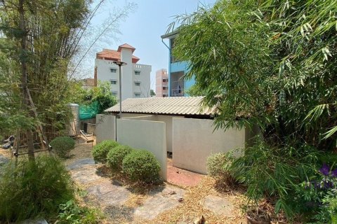 Коммерческая недвижимость в Чиангмай, Таиланд №97533 3