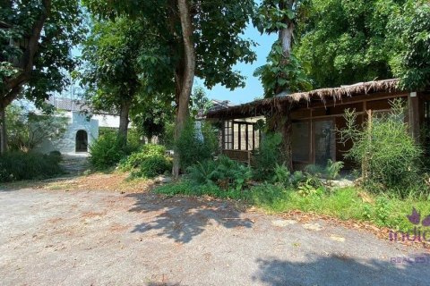 Коммерческая недвижимость в Чиангмай, Таиланд №97533 5