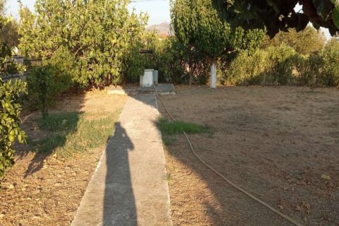 3 bedrooms House in Zakynthos, Greece No. 24529 22