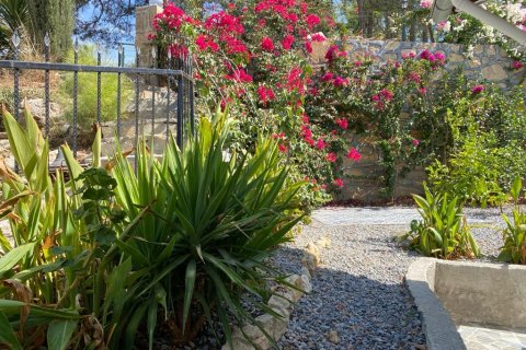 4 rooms Villa in Binh Duong, Vietnam No. 21808 14