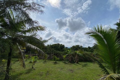 4 bedrooms House in Chiang Mai, Thailand No. 1453 10