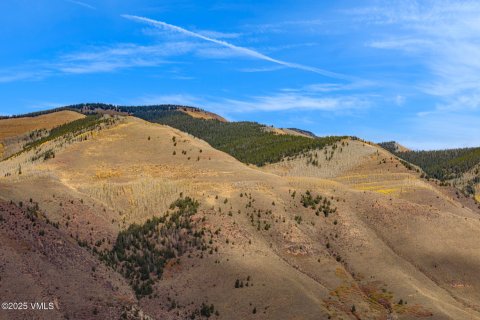 6.66m² Land in Gypsum, USA No. 104541 7