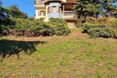 5 bedrooms House in Florina, Greece No. 108494 1