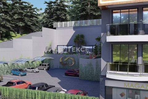 2 chambres Penthouse à Chau Lang, Vietnam No. 11675 15