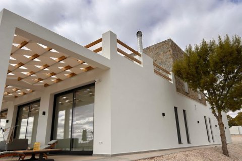 4 bedrooms Villa in Pinoso, Spain No. 128095
