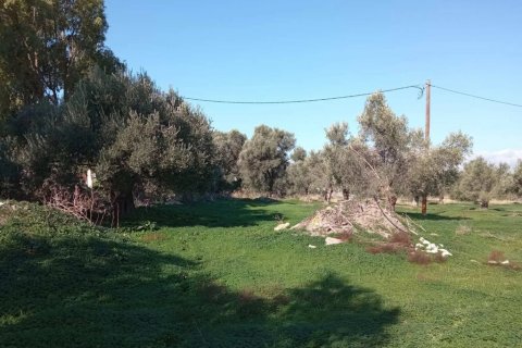 14000m² Land en Heraklion, Greece No. 124133 3