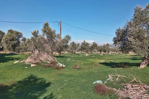14000m² Land en Heraklion, Greece No. 124133 5