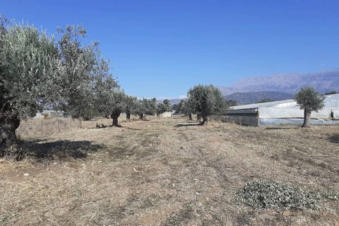 14000m² Land en Heraklion, Greece No. 124133 8