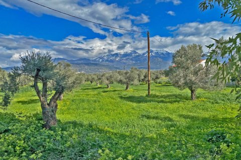 14000m² Land en Heraklion, Greece No. 124133