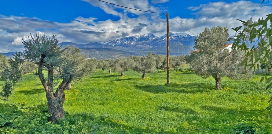 14000m² Land en Heraklion, Greece No. 124133