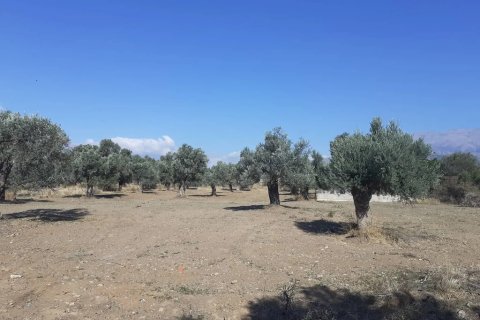 14000m² Land en Heraklion, Greece No. 124133 7