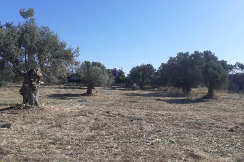 14000m² Land en Heraklion, Greece No. 124133 11