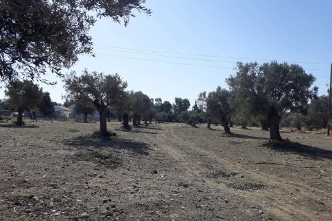 14000m² Land en Heraklion, Greece No. 124133 9