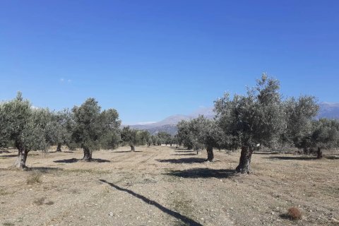 14000m² Land en Heraklion, Greece No. 124133 10