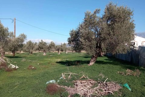 14000m² Land en Heraklion, Greece No. 124133 4