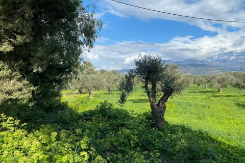 14000m² Land en Heraklion, Greece No. 124133 2