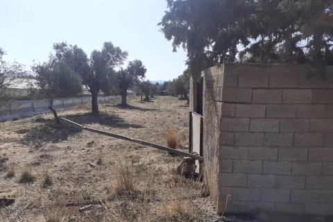 14000m² Land en Heraklion, Greece No. 124133 6
