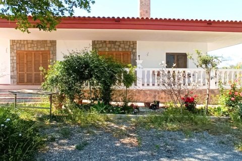 5 bedrooms Apartment in Mutxamel, Spain No. 124461