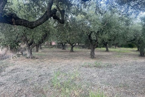 Land in Zakynthos, Greece No. 69507 7