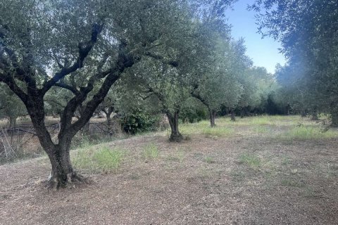 Land in Zakynthos, Greece No. 69507 8
