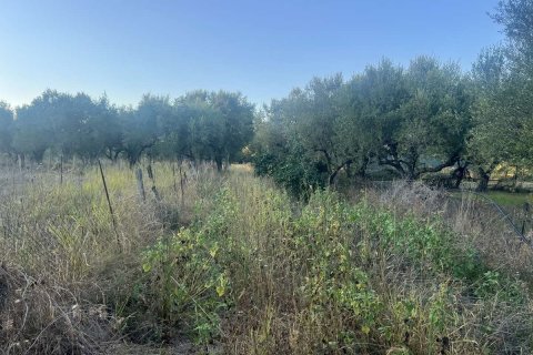 Land in Zakynthos, Greece No. 69507 10