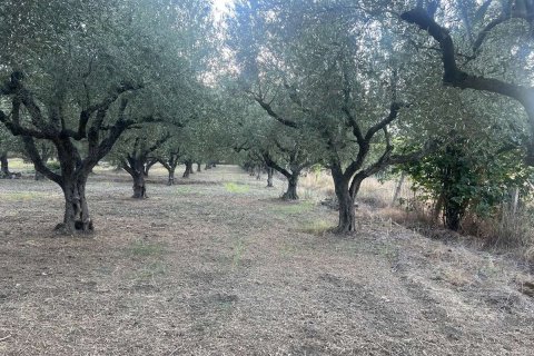 Land in Zakynthos, Greece No. 69507 4