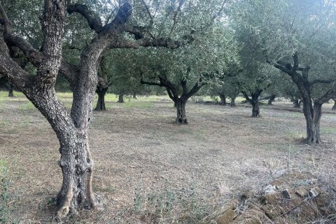 Land in Zakynthos, Greece No. 69507 1