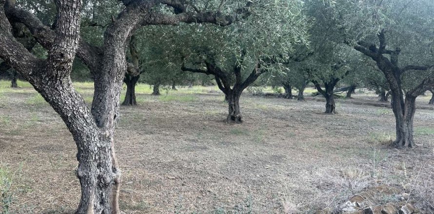 Land in Zakynthos, Greece No. 69507