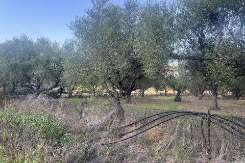 Land in Zakynthos, Greece No. 69507 9