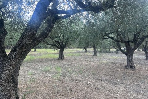 Land in Zakynthos, Greece No. 69507 3