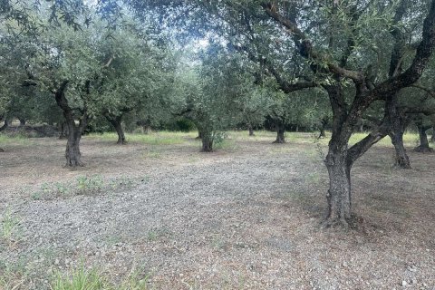 Land in Zakynthos, Greece No. 69507 6