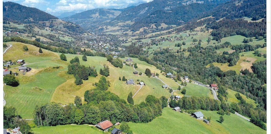 Studio House in Praz-sur-Arly, France No. 100090