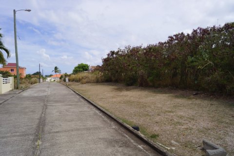 2135.93m² Land in Frigate Bay, Saint Kitts and Nevis No. 61518 1