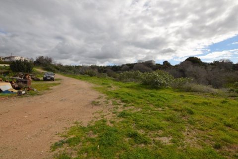 6294m² Land in Konia, Cyprus No. 65111 7