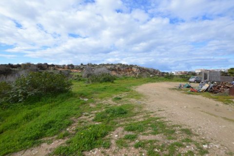 6294m² Land in Konia, Cyprus No. 65111 5