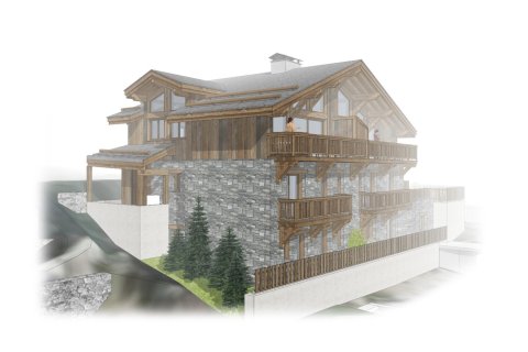 5 bedrooms House in Les Belleville, France No. 99582 10