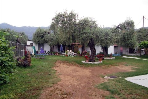 10 rooms Hotel in Thasos, Greece No. 109139 3